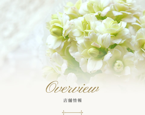 Overview 店舗情報